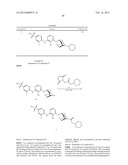 BRIDGED BICYCLIC HETEROCYCLE DERIVATIVES AND METHODS OF USE THEREOF diagram and image