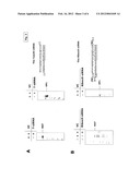 DESIGN OF SMALL-INTERFERING RNA diagram and image