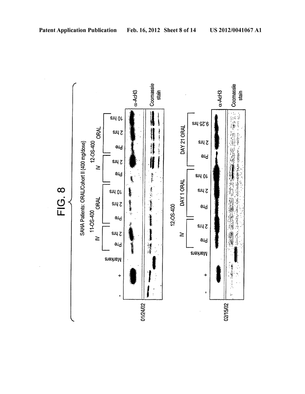 Methods of Inducing Terminal Differentiation - diagram, schematic, and image 09