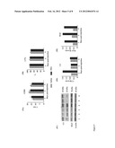 Method of inducing neovascularization diagram and image