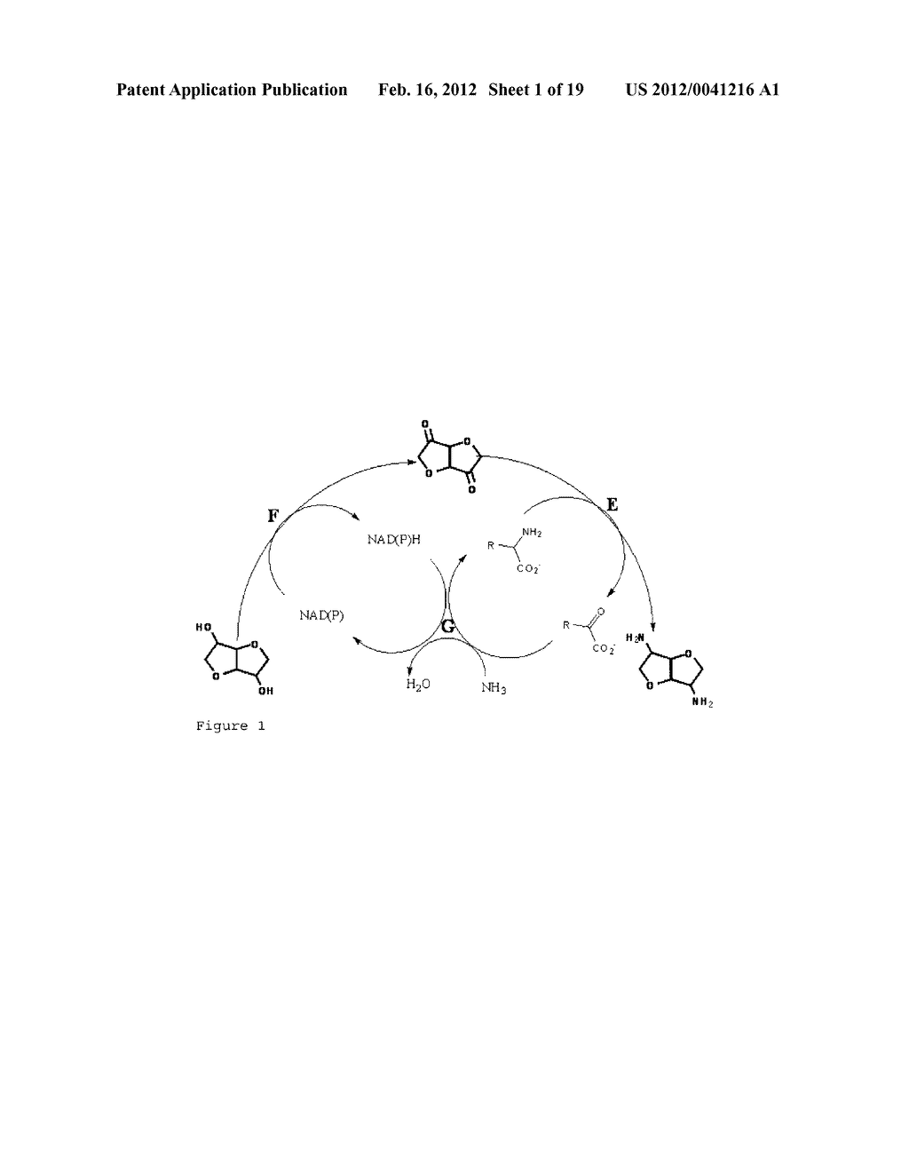 METHOD FOR PRODUCING MULTICYCLICAL RING SYSTEMS CARRYING AMINO GROUPS - diagram, schematic, and image 02