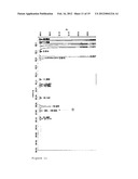 METHOD FOR PRODUCING MULTICYCLICAL RING SYSTEMS CARRYING AMINO GROUPS diagram and image