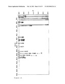 METHOD FOR PRODUCING MULTICYCLICAL RING SYSTEMS CARRYING AMINO GROUPS diagram and image