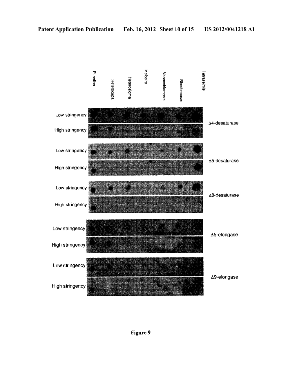 SYNTHESIS OF LONG-CHAIN POLYUNSATURATED FATTY ACIDS BY RECOMBINANT CELLS - diagram, schematic, and image 11