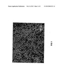 FIBRILLAR, NANOTEXTURED COATING AND METHOD FOR ITS MANUFACTURE diagram and image
