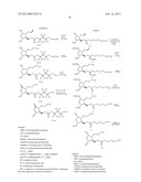 METHODS FOR MANUFACTURING TETRANOR-PROSTAGLANDIN D, J, E, A AND F     METABOLITES diagram and image