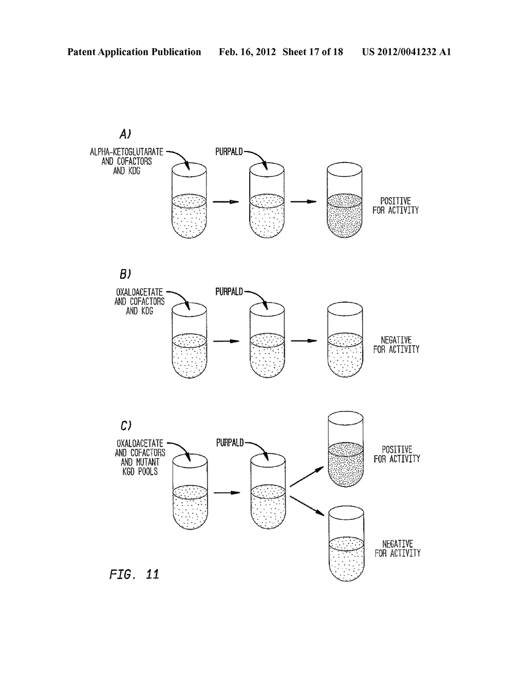 COMPOSITIONS AND METHODS FOR 3-HYDROXYPROPIONATE BIO-PRODUCTION FROM     BIOMASS - diagram, schematic, and image 18