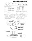 PHAGE ANTIBODIES TO RADIATION-INDUCIBLE NEOANTIGENS diagram and image