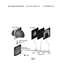 PHAGE ANTIBODIES TO RADIATION-INDUCIBLE NEOANTIGENS diagram and image