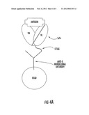 PHAGE ANTIBODIES TO RADIATION-INDUCIBLE NEOANTIGENS diagram and image