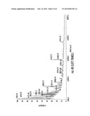 PHAGE ANTIBODIES TO RADIATION-INDUCIBLE NEOANTIGENS diagram and image