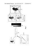 METHOD AND SYSTEM FOR PATIENT-SPECIFIC MODELING OF BLOOD FLOW diagram and image