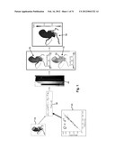 METHOD AND SYSTEM FOR PATIENT-SPECIFIC MODELING OF BLOOD FLOW diagram and image