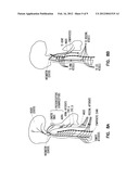 SAFETY CONTROL SYSTEM FOR IMPLANTABLE NEURAL STIMULATOR diagram and image