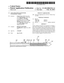 STENT DELIVERY SYSTEM WITH INTEGRATED CAMERA diagram and image