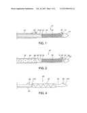 STENT DELIVERY SYSTEM WITH INTEGRATED CAMERA diagram and image