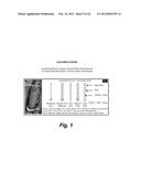 PROTEIN BIOMATERIAL AND BIOCOACERVATE VESSEL GRAFT SYSTEMS AND METHODS OF     MAKING AND USING THEREOF diagram and image