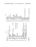 COMPILING SYSTEM AND METHOD FOR OPTIMIZING BINARY CODE diagram and image