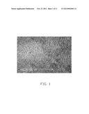 APPARATUS FOR MAKING CARBON NANOTUBE COMPOSITE WIRE STRUCTURE diagram and image