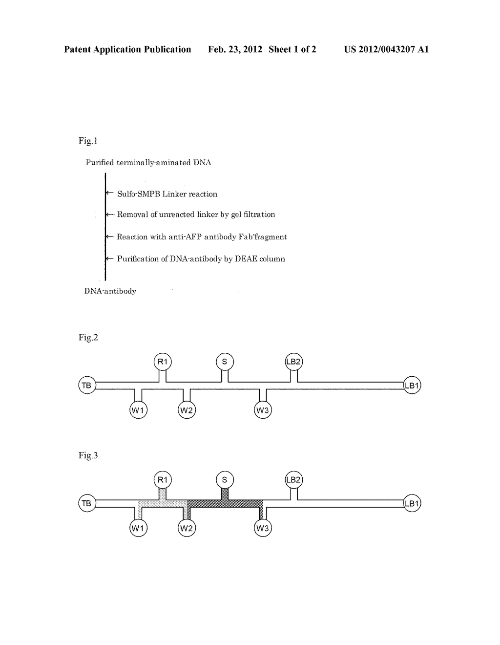 MEASUREMENT METHOD UTILIZING INTERNAL STANDARD SUBSTANCE - diagram, schematic, and image 02