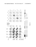 Capacitive-matrix keyboard with multiple touch detection diagram and image