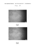 DISPLAY METHOD AND DEVICE USING PHOTONIC CRYSTAL CHARACTERISTICS diagram and image