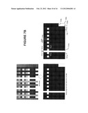 High Dynamic Range Display with Three Dimensional and Field Sequential     Color Synthesis Control diagram and image