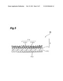 LIQUID CRYSTAL DISPLAY DEVICE diagram and image