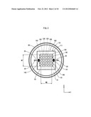 LIGHT-EMITTING MODULE, LIGHT SOURCE DEVICE, LIQUID CRYSTAL DISPLAY DEVICE,     AND METHOD OF MANUFACTURING LIGHT-EMITTING MODULE diagram and image