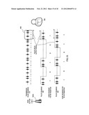 RADIO TERMINAL DEVICE, RADIO BASE STATION DEVICE, RADIO RANGING SYSTEM,     AND RADIO RANGING METHOD diagram and image