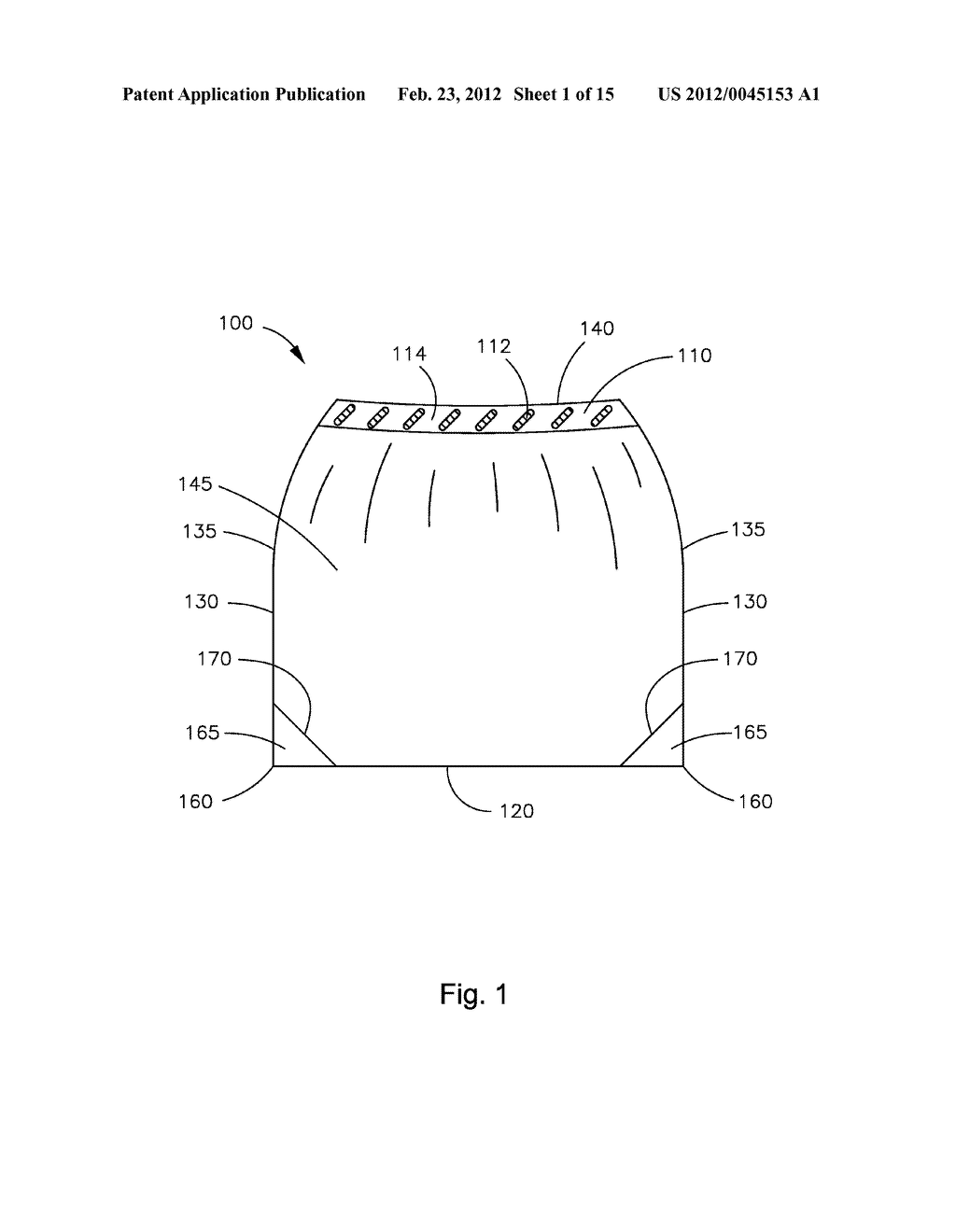 LINER WITH ELASTIC SECURING MECHANISM - diagram, schematic, and image 02