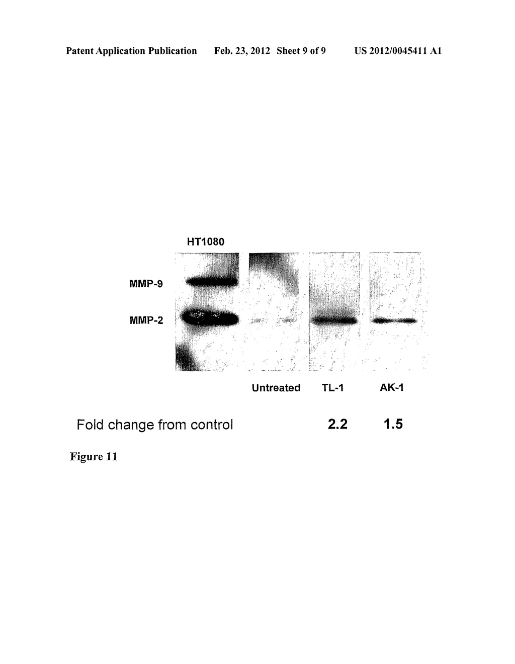 SHORT BETA-DEFENSIN-DERIVED PEPTIDES - diagram, schematic, and image 10