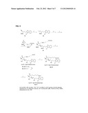 COMPOSITIONS AND IMPROVED SOFT TISSUE REPLACEMENT METHODS diagram and image