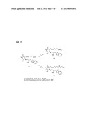 COMPOSITIONS AND IMPROVED SOFT TISSUE REPLACEMENT METHODS diagram and image