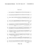 B LYMPHOCYTE STIMULATOR ASSAYS diagram and image