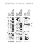 B LYMPHOCYTE STIMULATOR ASSAYS diagram and image