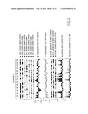 B LYMPHOCYTE STIMULATOR ASSAYS diagram and image