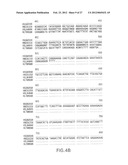 B LYMPHOCYTE STIMULATOR ASSAYS diagram and image