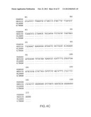 B LYMPHOCYTE STIMULATOR ASSAYS diagram and image