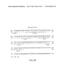 B LYMPHOCYTE STIMULATOR ASSAYS diagram and image