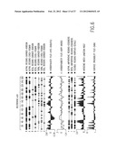 B LYMPHOCYTE STIMULATOR ASSAYS diagram and image