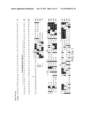 B LYMPHOCYTE STIMULATOR ASSAYS diagram and image