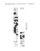 B LYMPHOCYTE STIMULATOR ASSAYS diagram and image