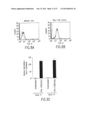 B LYMPHOCYTE STIMULATOR ASSAYS diagram and image