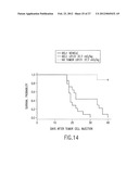 B LYMPHOCYTE STIMULATOR ASSAYS diagram and image