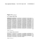 HUMAN MONOCLONAL ANTIBODIES TO CTLA-4 diagram and image