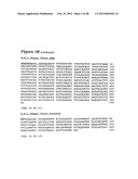 HUMAN MONOCLONAL ANTIBODIES TO CTLA-4 diagram and image