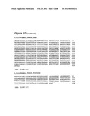 HUMAN MONOCLONAL ANTIBODIES TO CTLA-4 diagram and image