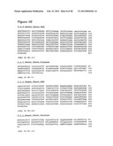 HUMAN MONOCLONAL ANTIBODIES TO CTLA-4 diagram and image