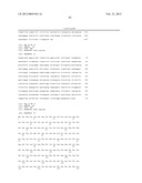 HUMAN MONOCLONAL ANTIBODIES TO CTLA-4 diagram and image